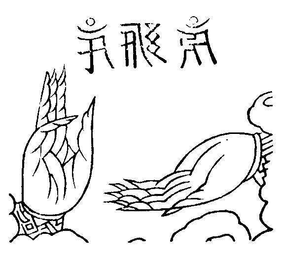 X59p0259_02.gif
