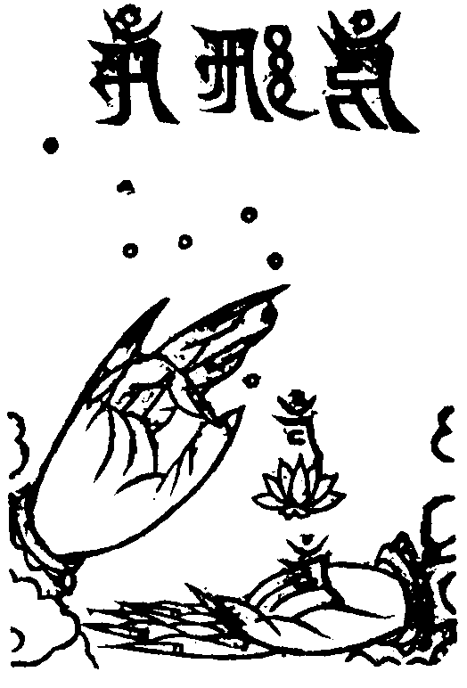 X59p0319_02.gif
