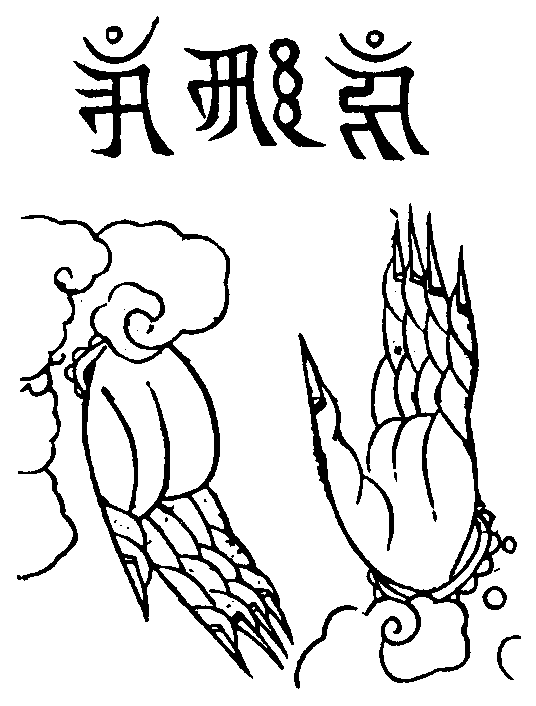 X59p0320_01.gif
