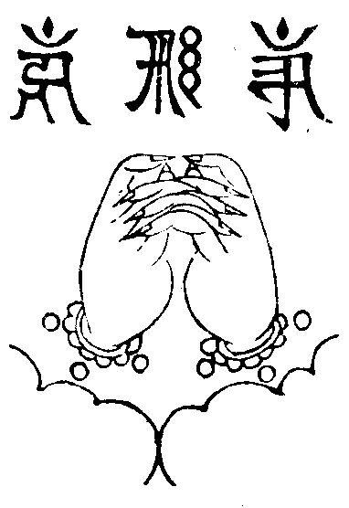 X59p0342_01.gif