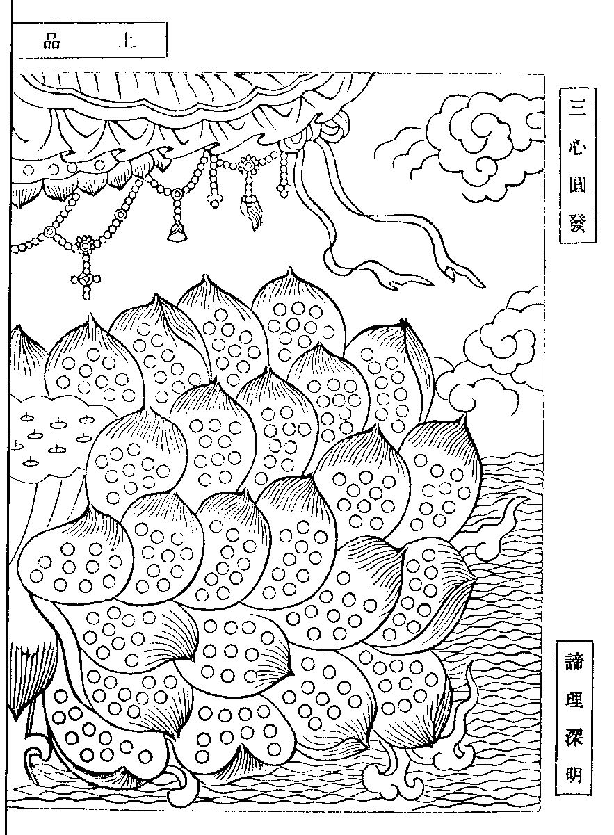 X62p0268_01.gif