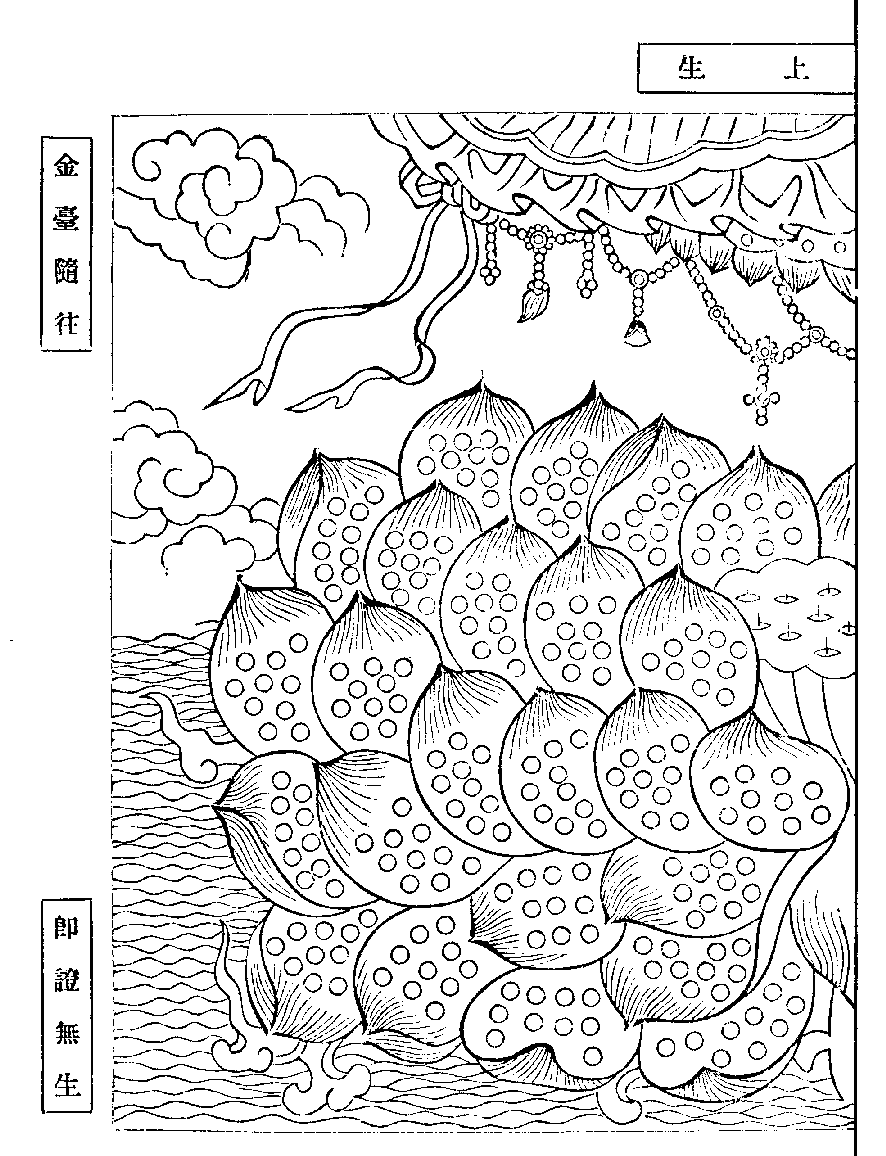 X62p0269_01.gif