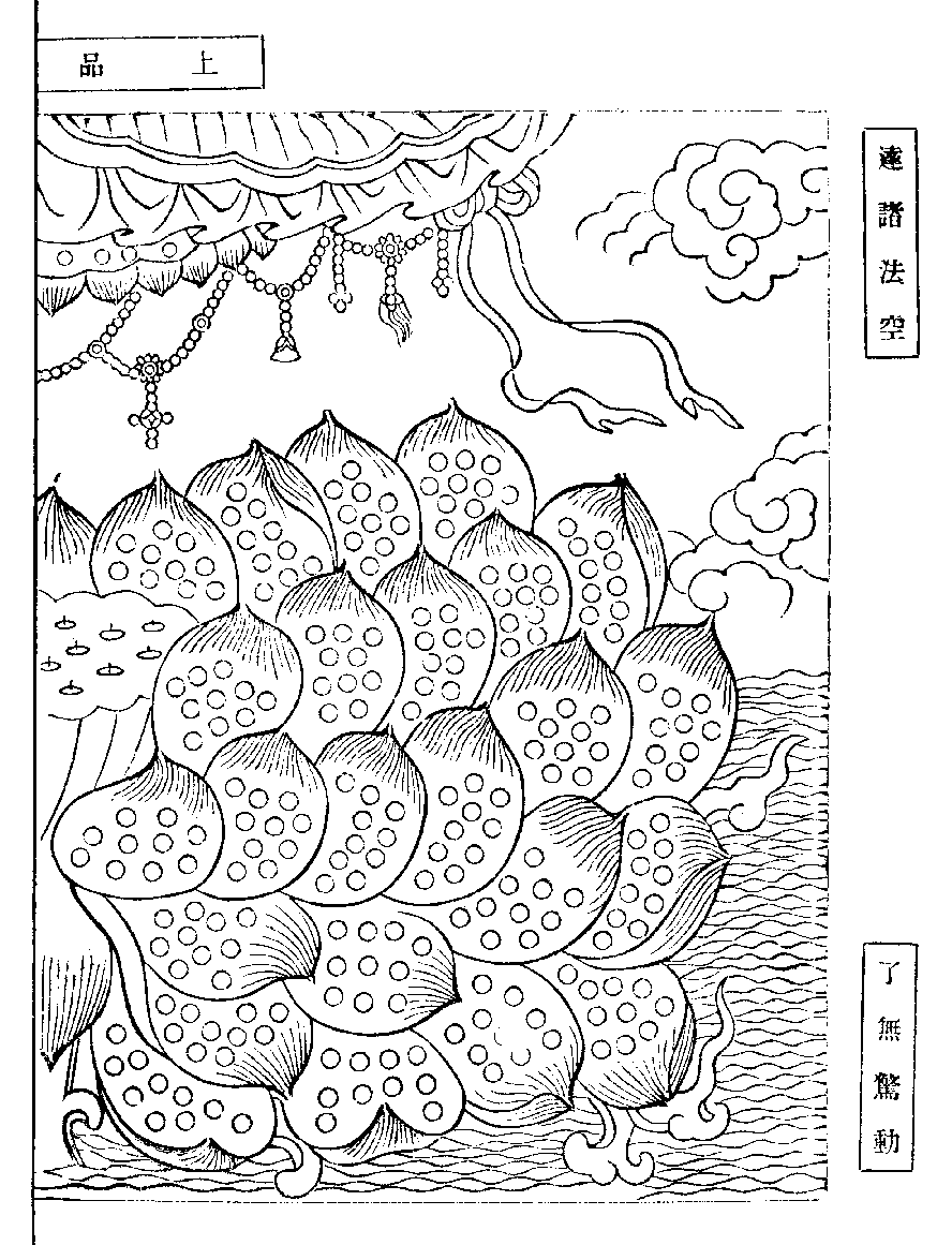 X62p0270_01.gif