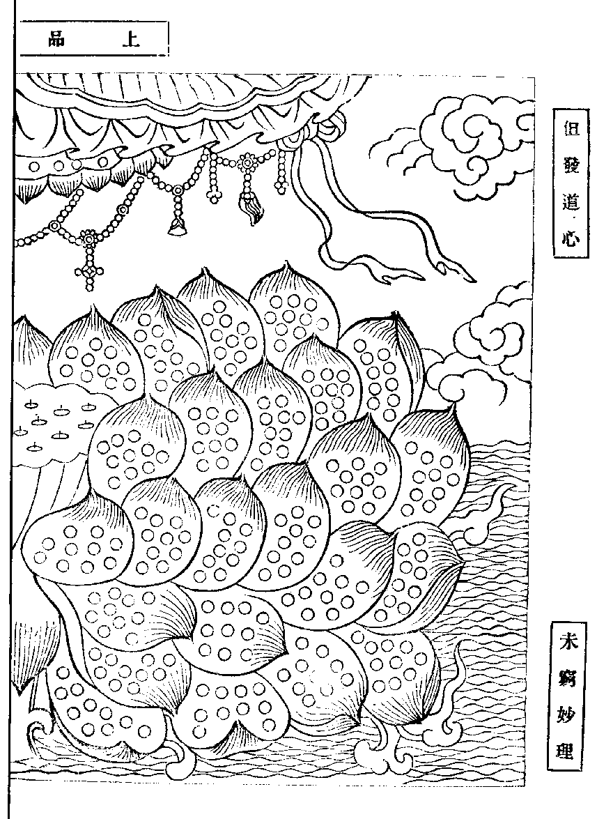 X62p0272_01.gif