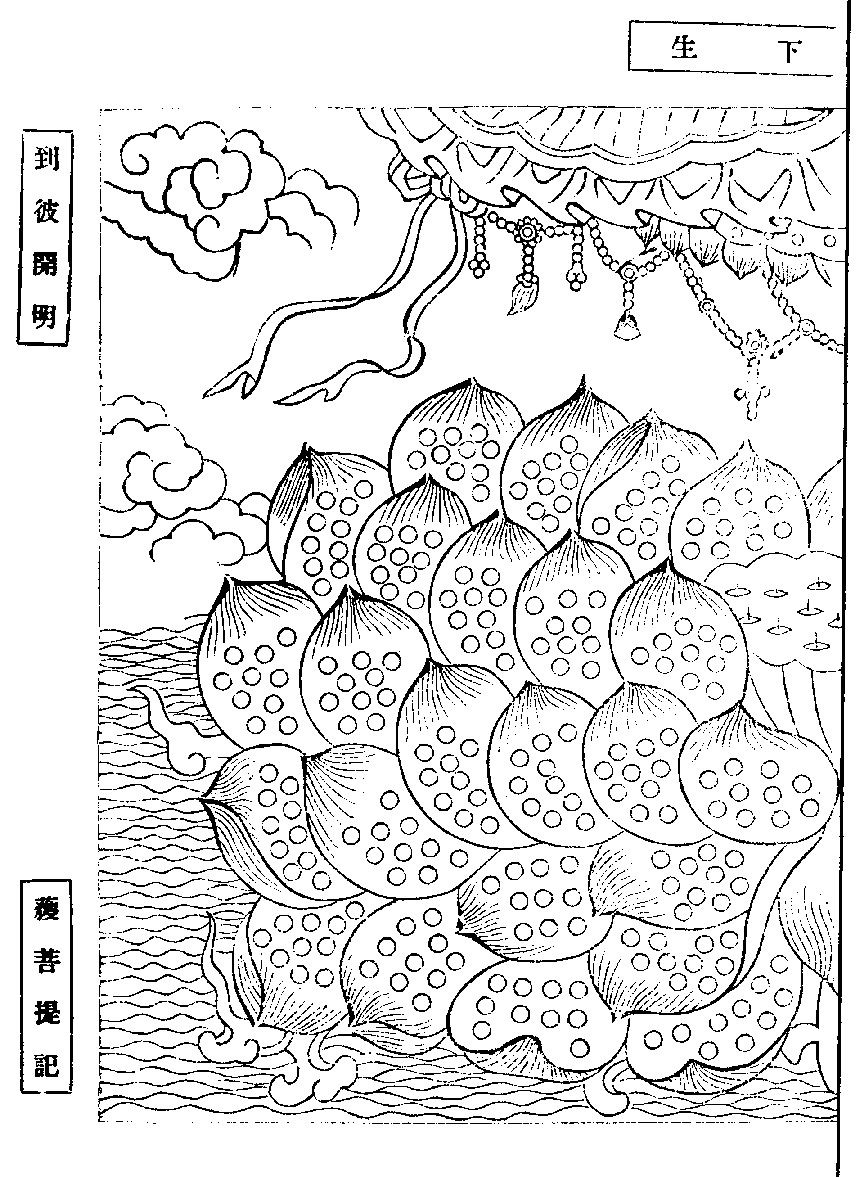 X62p0273_01.gif