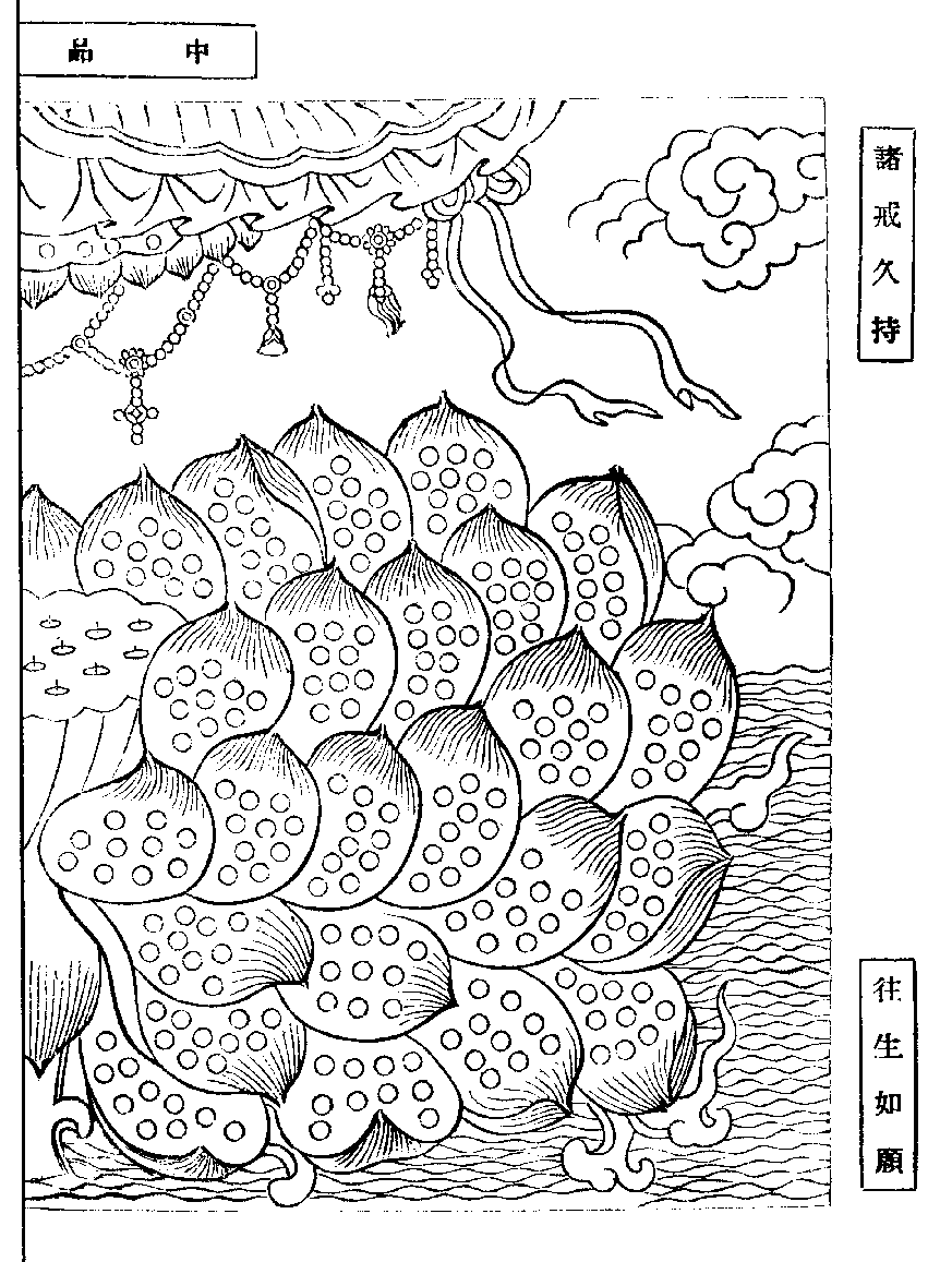 X62p0274_01.gif