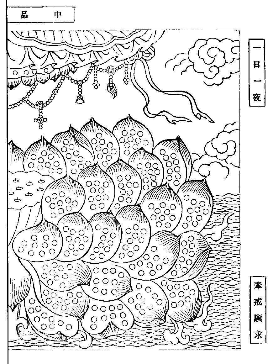 X62p0276_01.gif