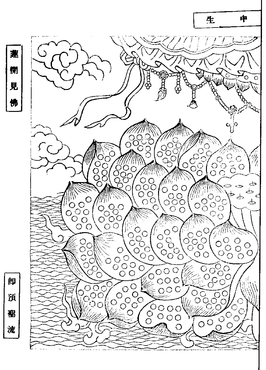 X62p0277_01.gif