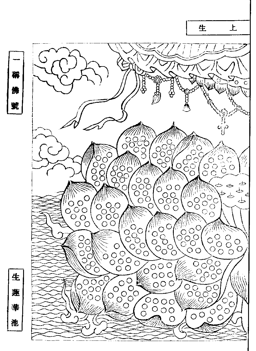 X62p0281_01.gif