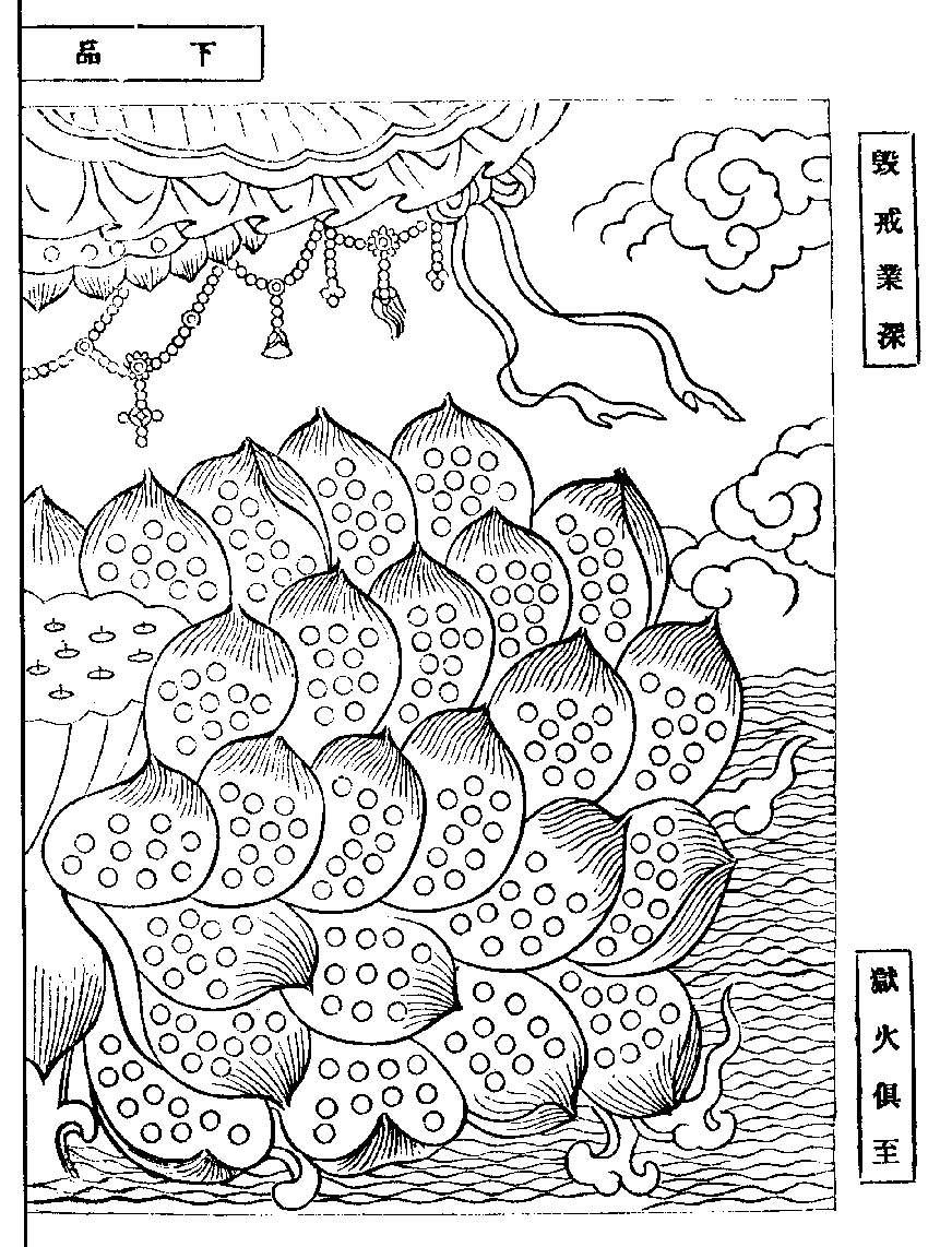 X62p0282_01.gif