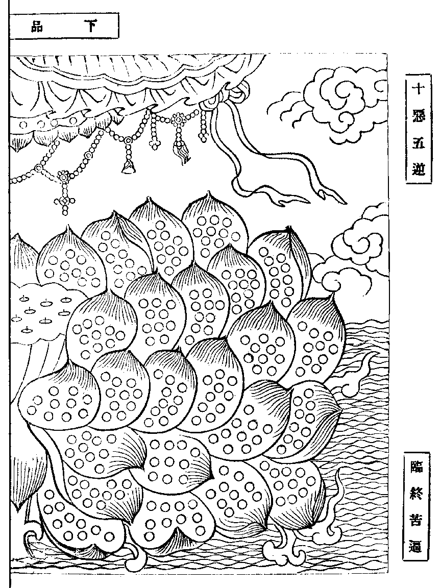 X62p0284_01.gif