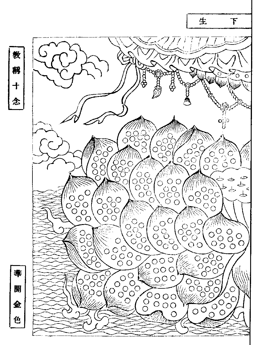 X62p0285_01.gif