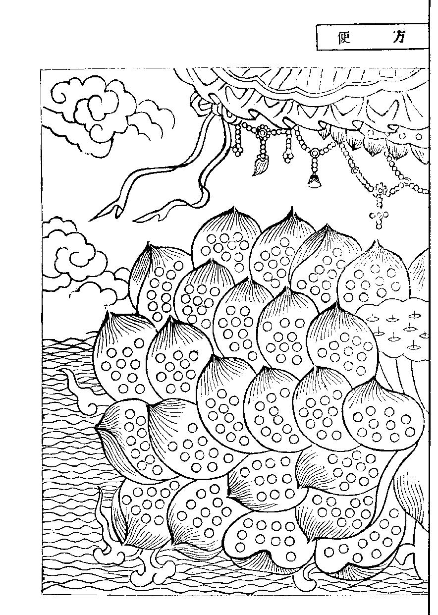 X62p0295_01.gif