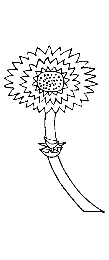 X78p0051_01.gif