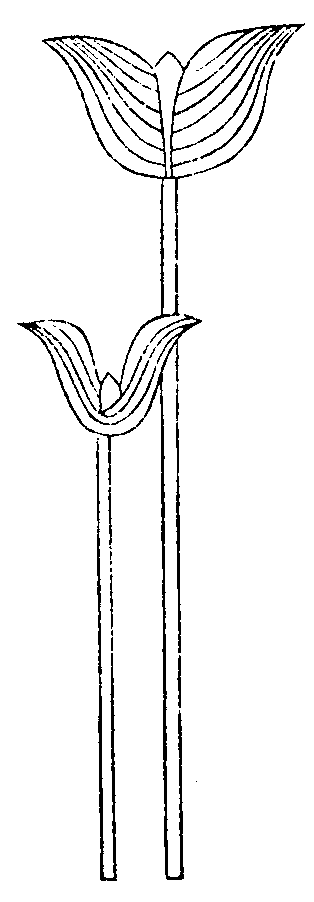 X78p0051_02.gif